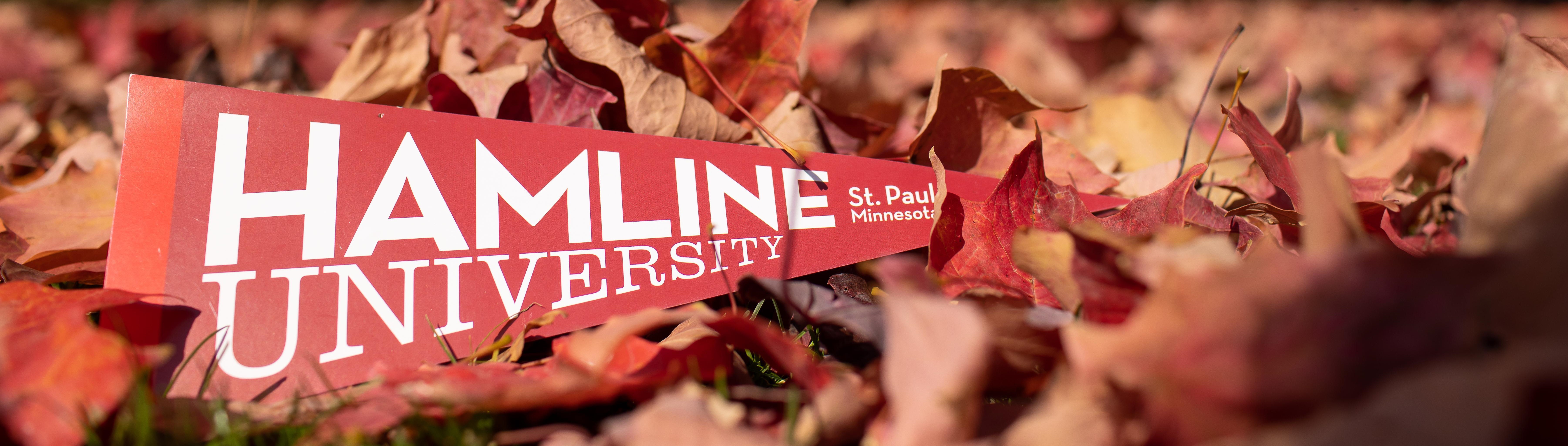 Hamline Penant